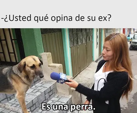 humor