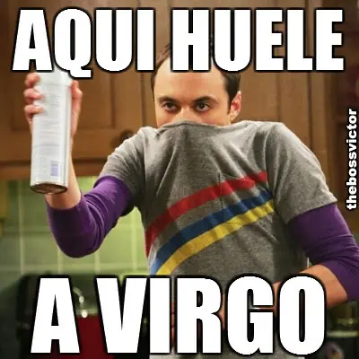 Virgo Historia