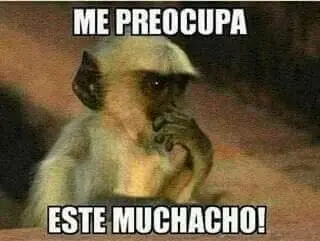 memes