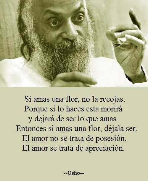 imagenes
