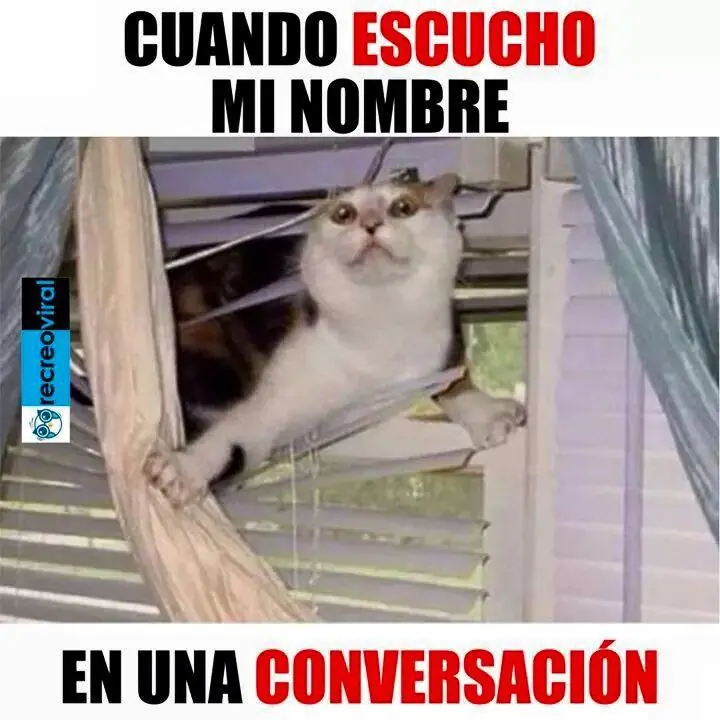maquinola
