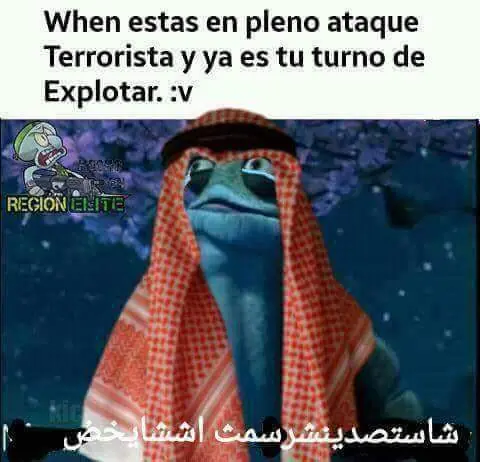 imagenes