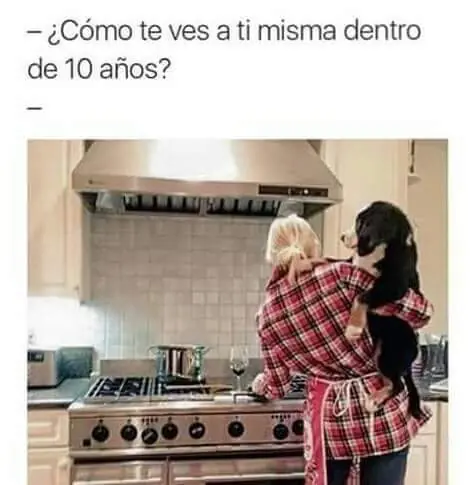humor memes