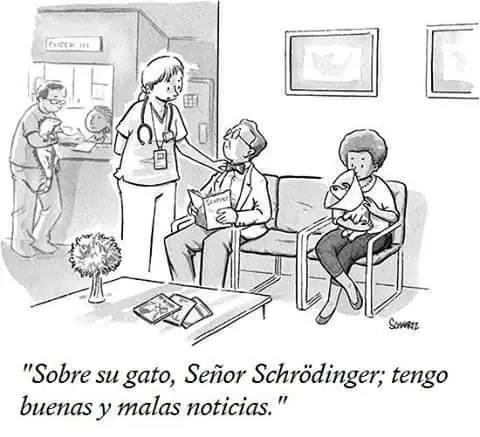 humor memes