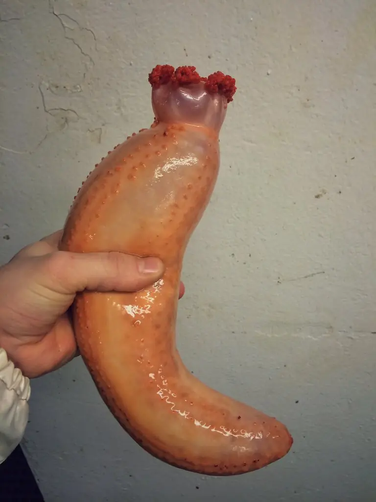 mar profundo