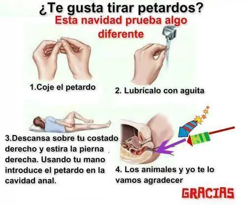 lince