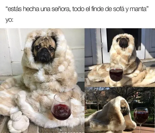 amargados