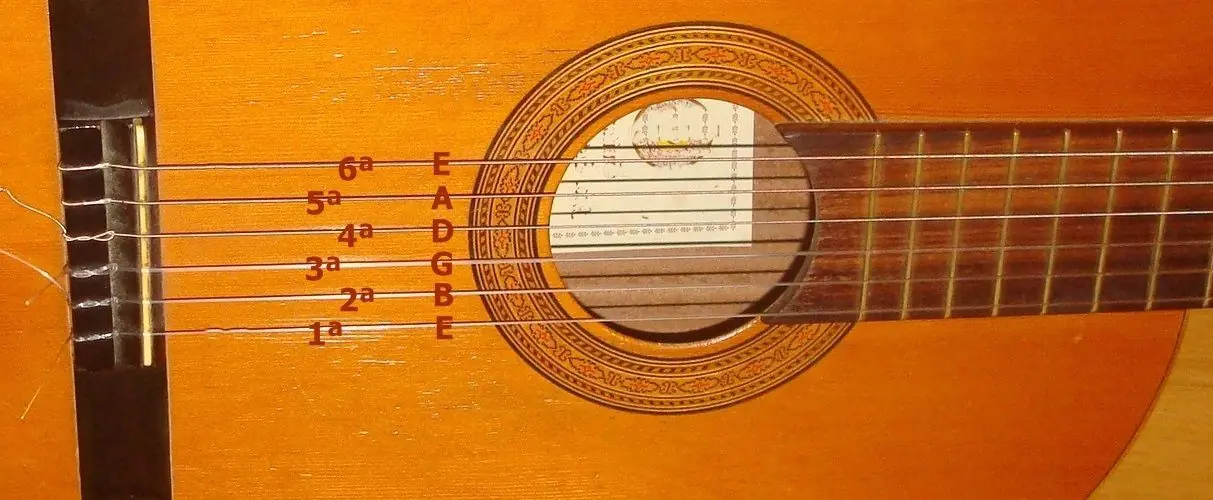 guitarra