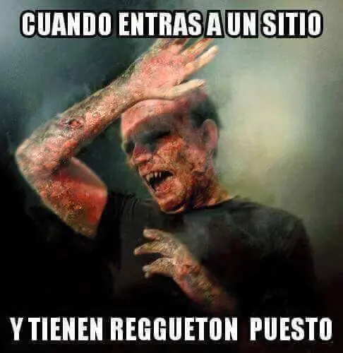 reite