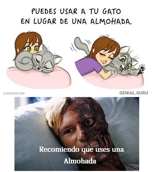 imagenes