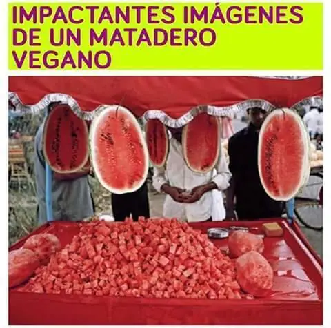 ¿Desvelado? Toma imágenes de humor #8