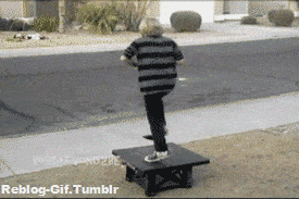 gifs graciosos