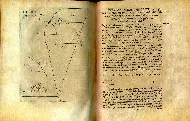 newton newton