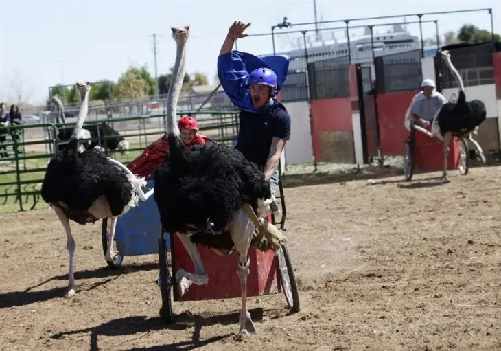 10 Deportes tan descabellados que solo