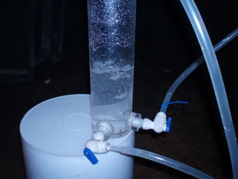 noticias cientificas 2016