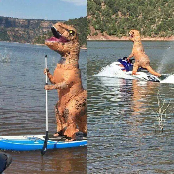 imagenes graciosas