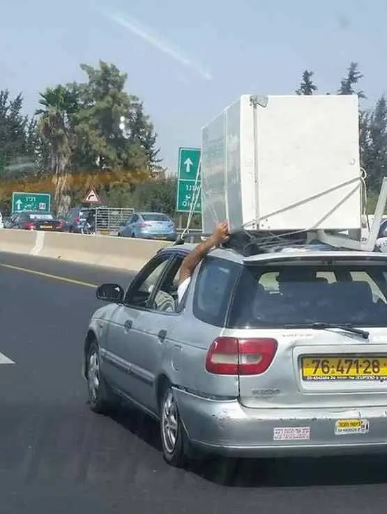 lince cosmico de las praderas