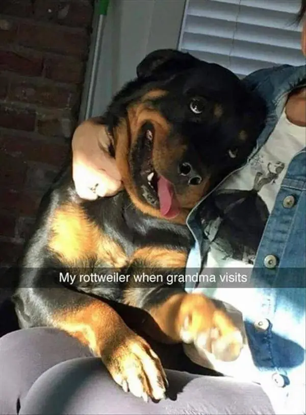 Imagenes graciosas