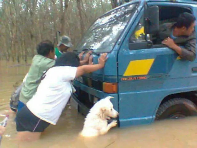 imagenes graciosas