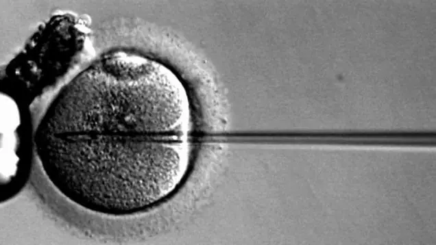 Resumen de noticias Cientificas mas impactantes de la semana