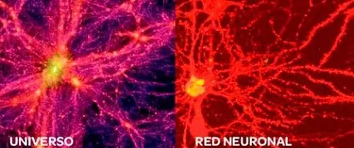 ¿El cerebro es mas grande que el universo?