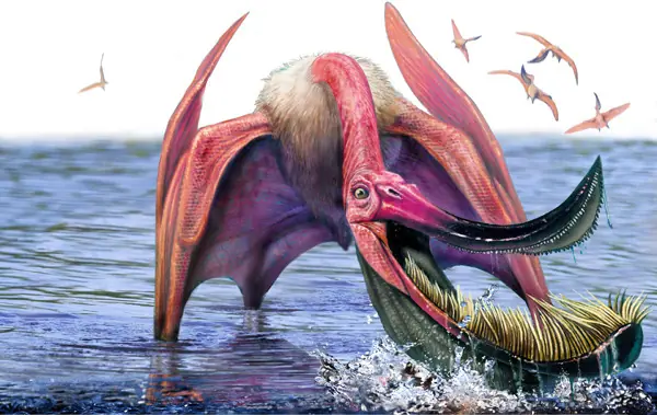 raras