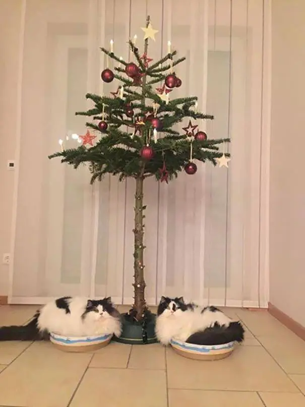 arbol de navidad