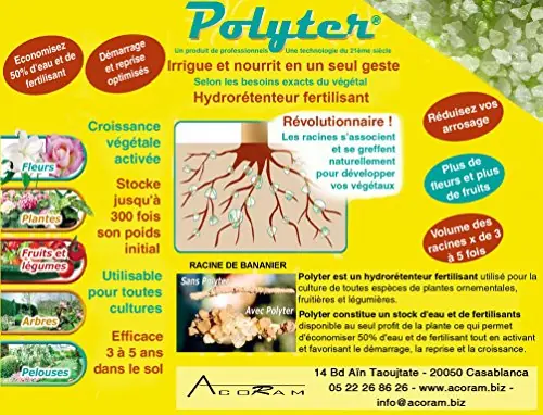 Polyter