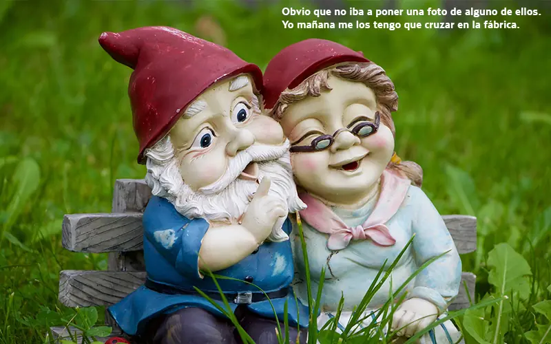 chicos