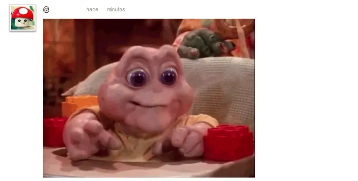 Como encontrar el video del GIF.