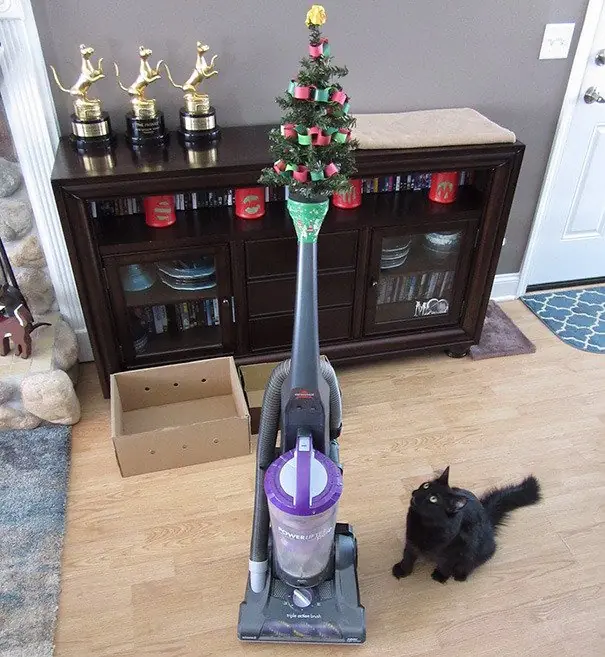 navidad