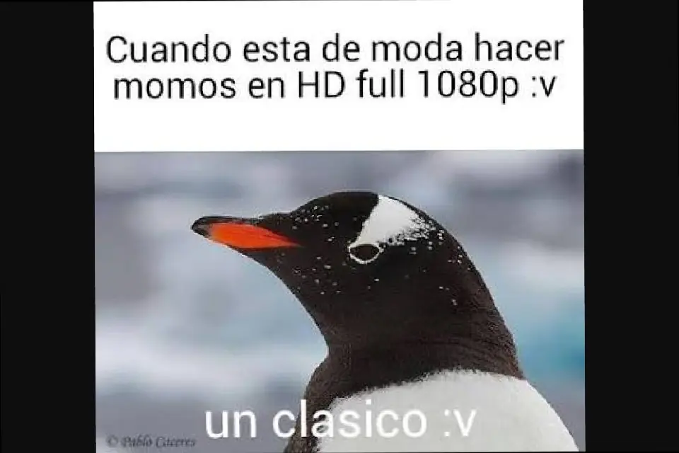 hola
