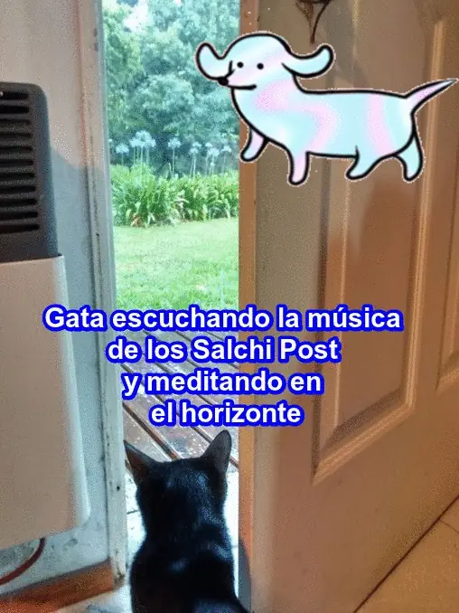 Cuentos