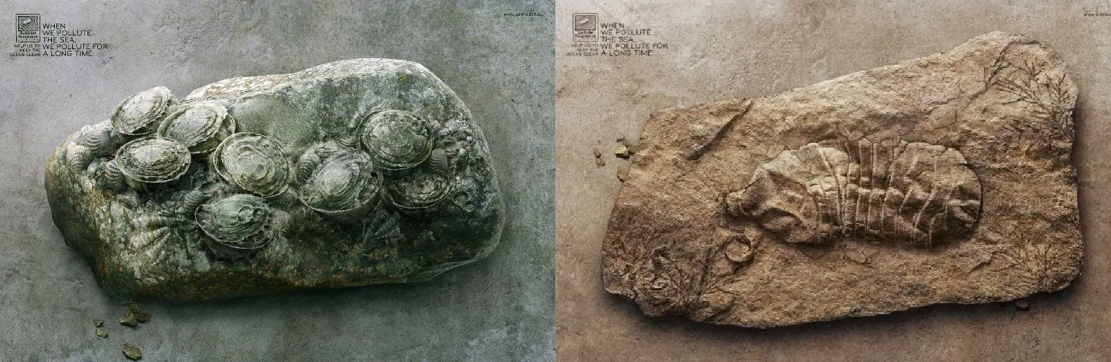 evolucion