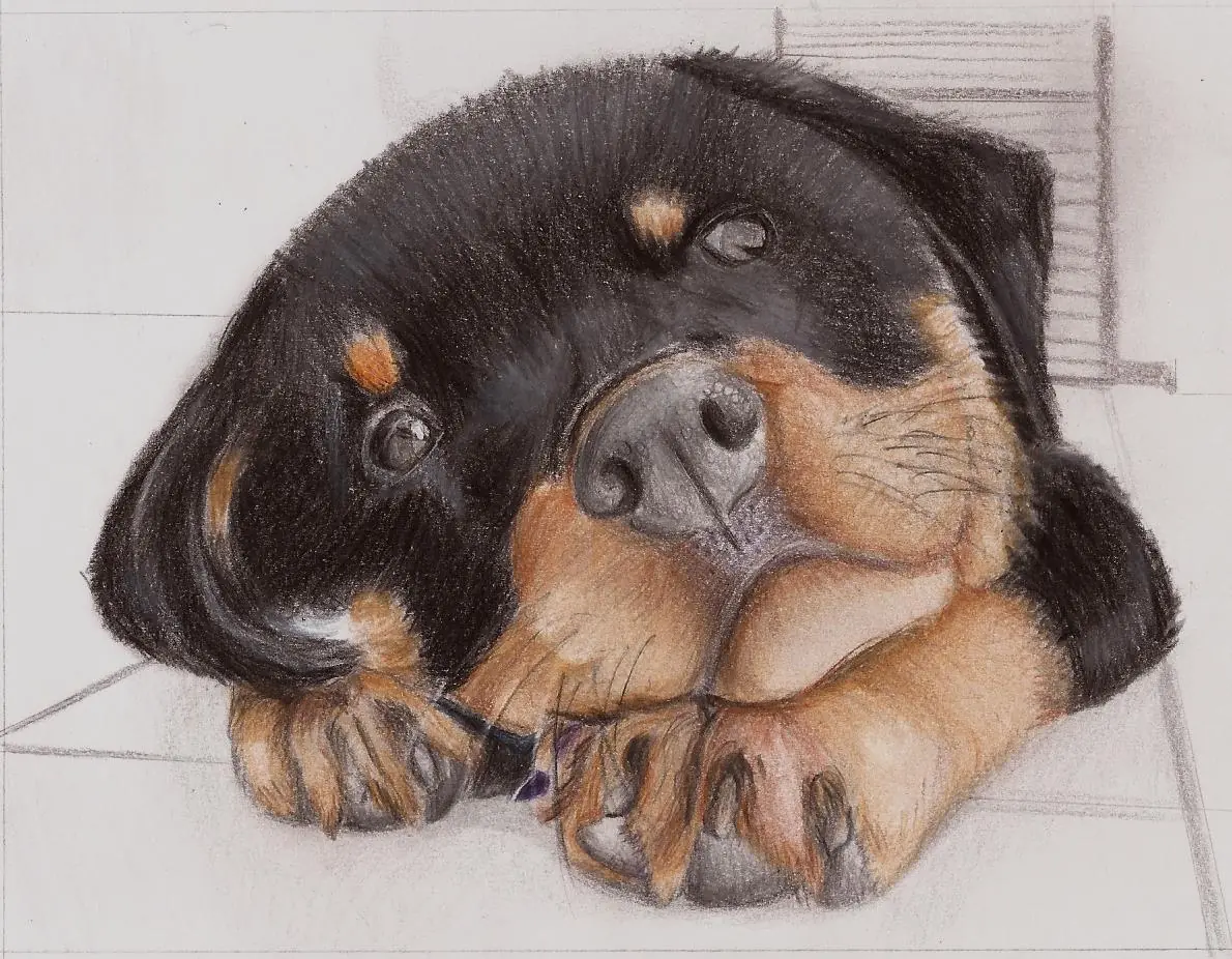 Dibujo