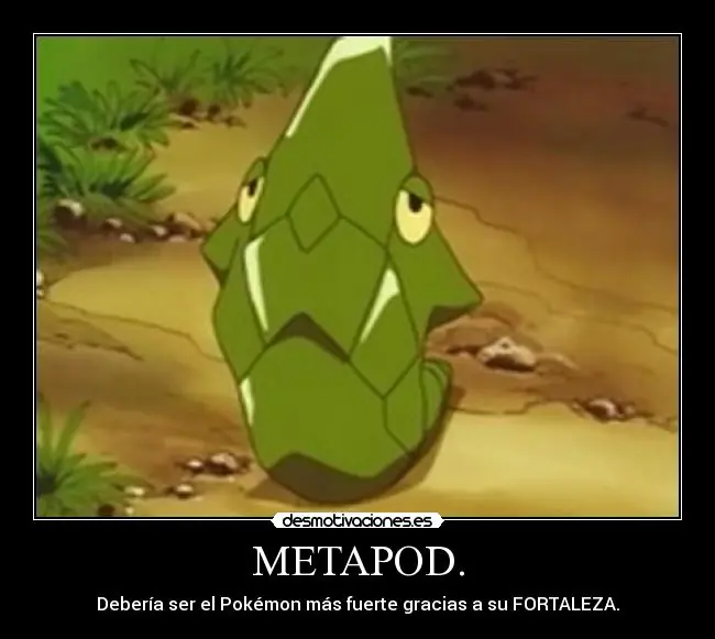 metapod