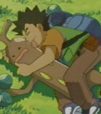 pokefilia