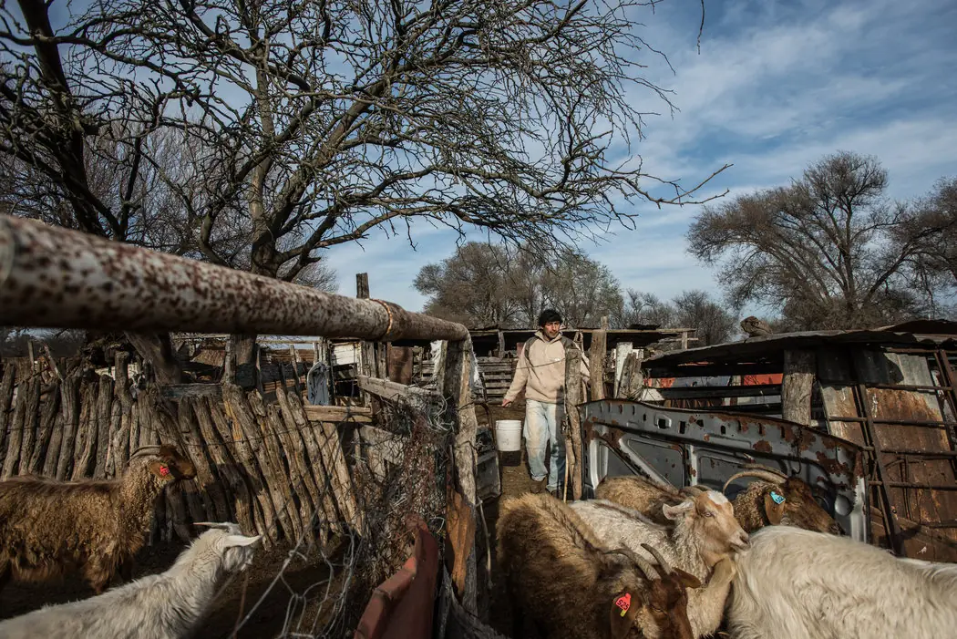 La Pampa La Pampa