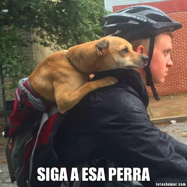 Humor de Miercoles