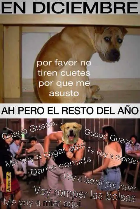 Humor para alegrarte el dia!