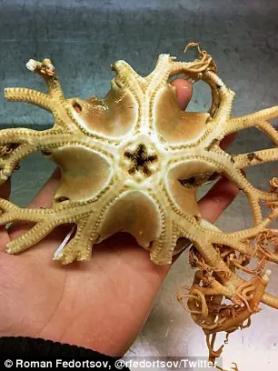 oceano oceano