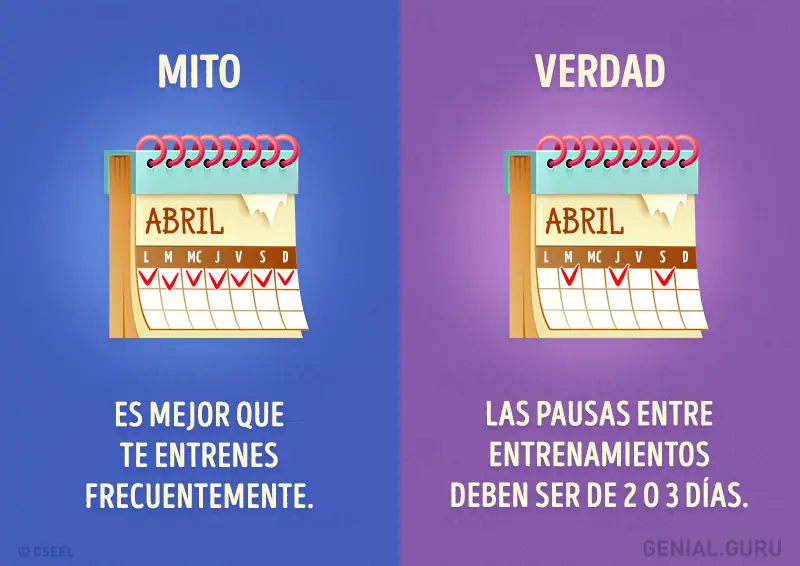 10 mitos