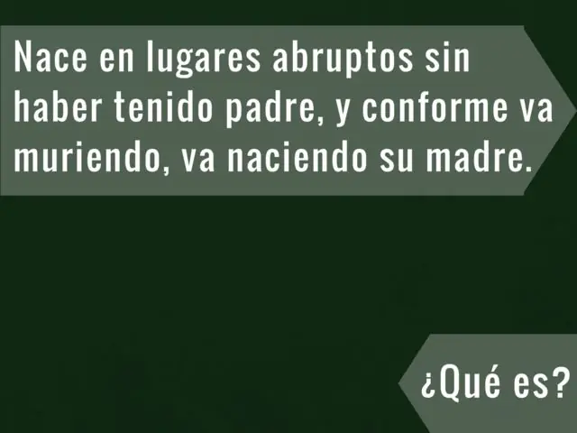 adivinador