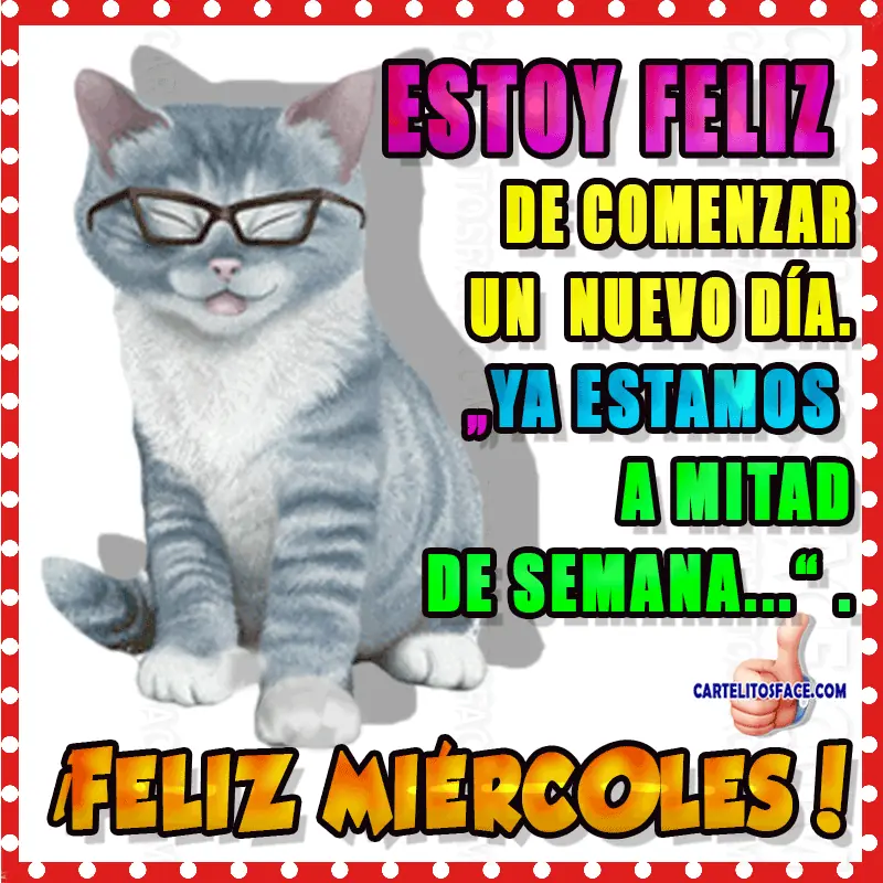 imagenes divertidas