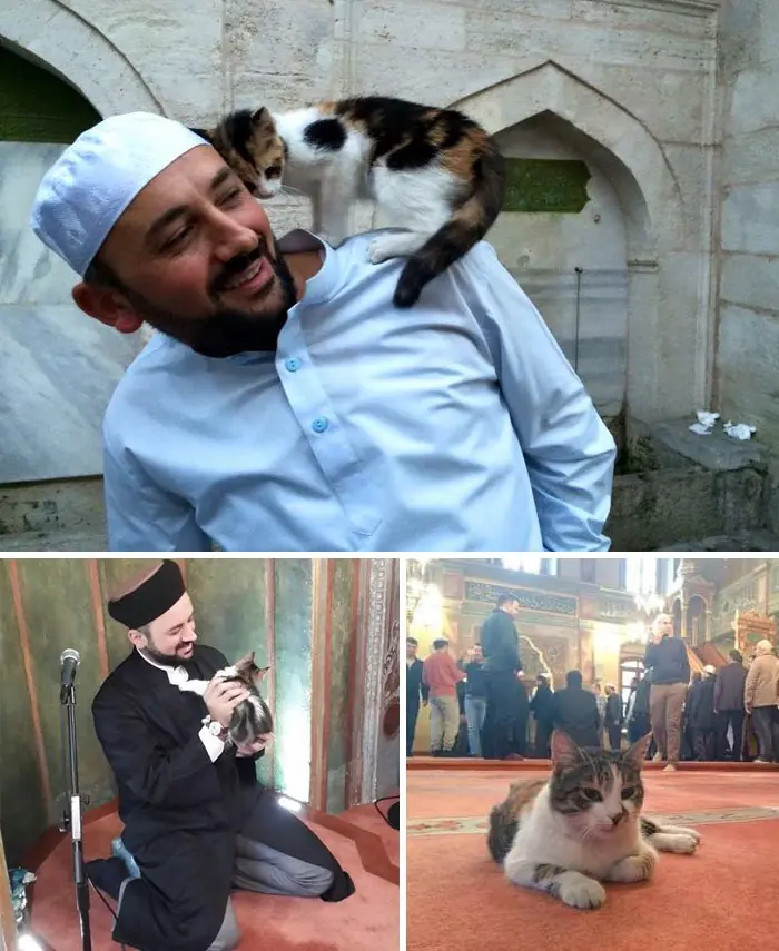 fe en la humanidad restaurada