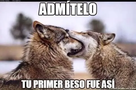 imagenes