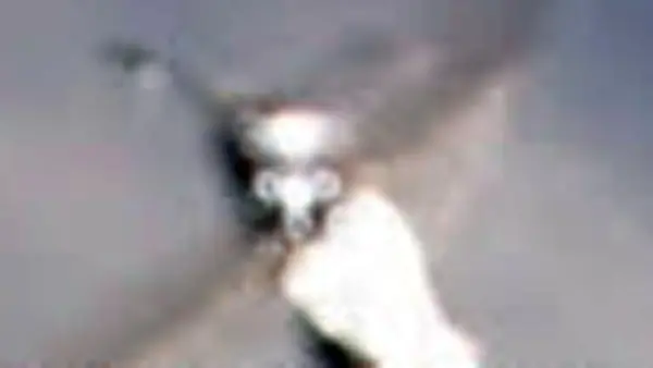 El fantasma que conmueve a Sierra de la ventana