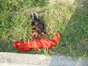 (Miedo) Toque una brujeria y ahora veo cosas