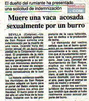 humor de Miercoles