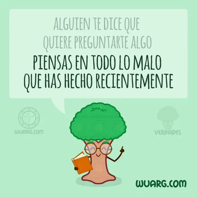 imagenes divertidas